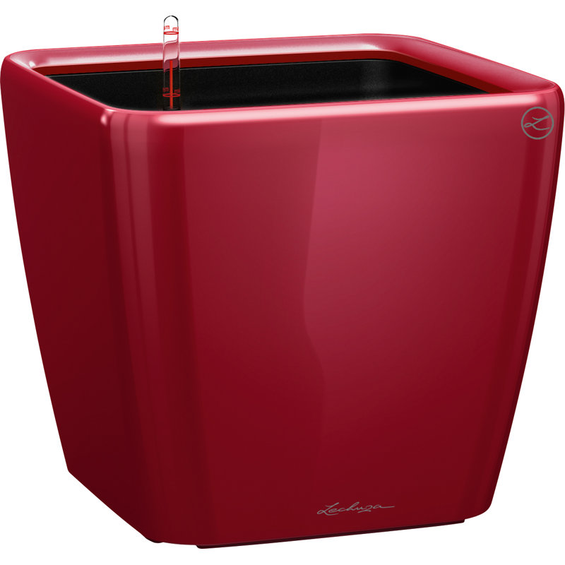 Quadro Premium Pot Planter, Scarlet Red, 20cm H x 21cm W x 21cm D