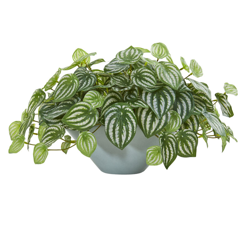 Plante de feuillage peperomia artificiel en vase décoratif en pastèque