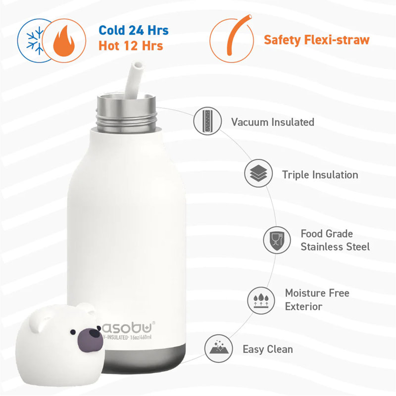 Asobu 475ml Double Wall Insulated Stainless Steel Water Bottle