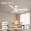 Ventilateur de plafond intelligent à 3 pales intérieur / extérieur avec lumière DEL, télécommande et contrôle WiFi / Alexa, moteur à courant continu silencieux, à intensité variable, pales réversibles-112578524-112578525