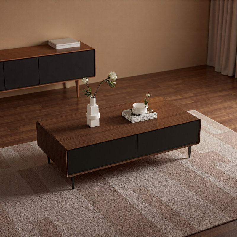 Table basse Modern Light Luxury, Brun / Noir