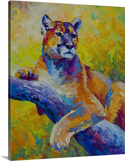 «Dritarastra Cougar Portrait» par Marion Rose, peinture sur toile, H 30 po x l 24 po x P 1,25 po