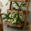 Vitrine Modern