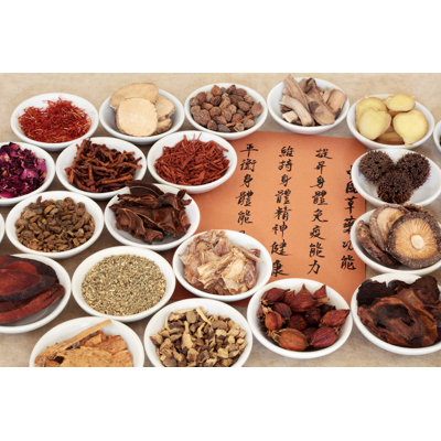 Traditional Chinese Herbal Medicine by Marilyna - Wrapped Canvas Print