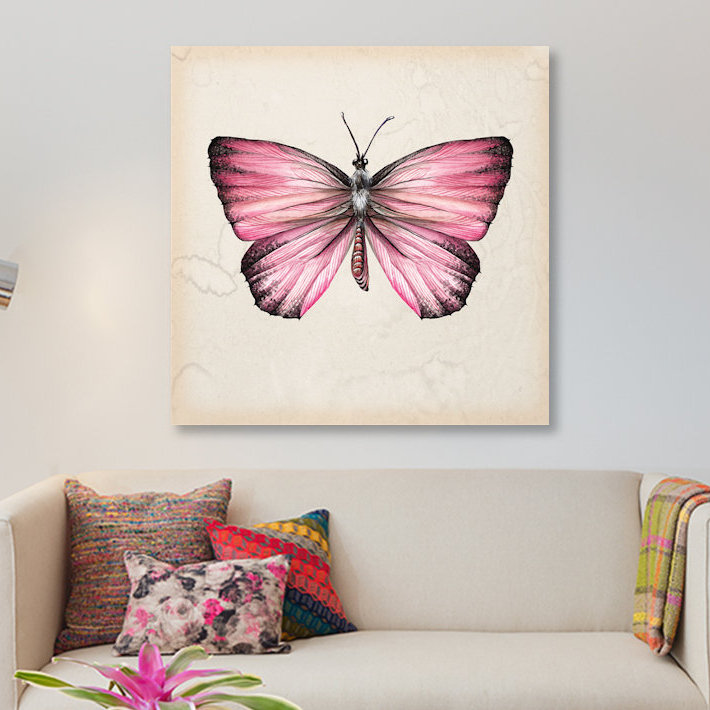 « papillon study iv », impression sur toile, H 12 po x l 12 po x P 1,5 po, Pas de tapis, Toile tendue