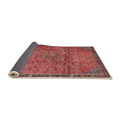 Oriental Indoor Rug