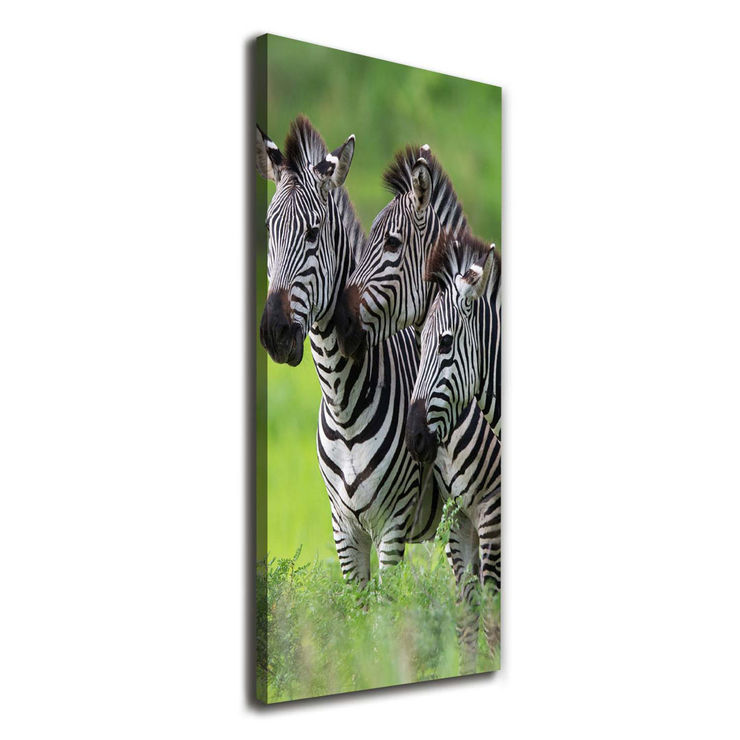 Drei Zebras - Kunstdrucke auf Leinwand - Wrapped Canvas