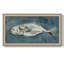 «Deep Sea Swimmer I», reproduction d'un seul cadre photo sur toile-697383157