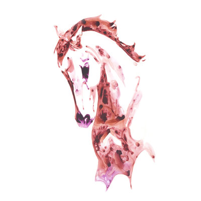 Grenat cheval II