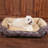 Paisley Polyester Pet Bed-45862426-45862427