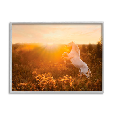 Ba-332-Framed " Standing Horse In Rising Sun " by PHBurchett