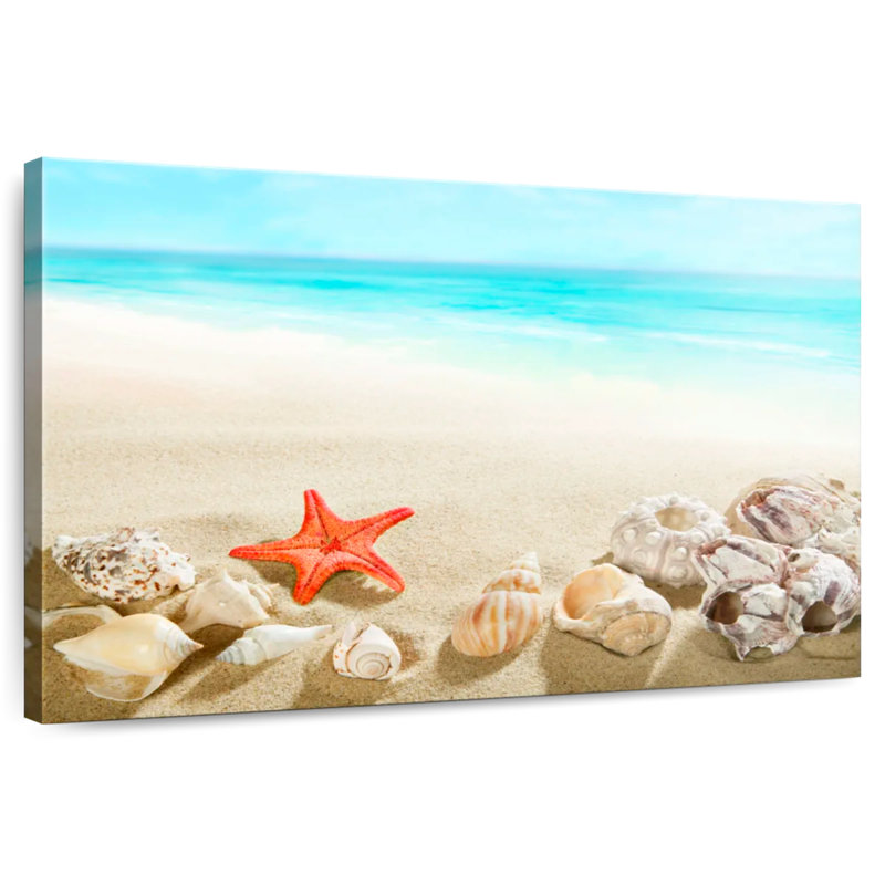 Coquillages d'Alvord à la plage, H 34 po x l 51 po