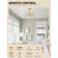 Ventilateur de plafond Gold Crystal