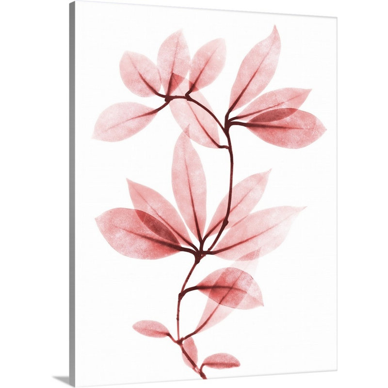 "Coral Wonder 1" par Albert Koetsier, reproduction d’art sur toile, H 48 po x l 36 po x P 1,25 po, Toile tendue