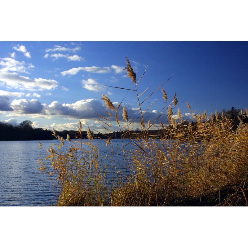 Virginia Water, Windsor Great Park by Urbancow - No Frame Art Prints on Canvas, 30cm H x 46cm W