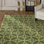 Tapis vert en laine noué à la main touffeté à la main Electra Authentic-19940425
