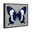 Animaux, papillon et paillettes - Insectes-1407576924-1407576921
