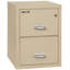 Fireproof 2 - Drawer File Cabinet-218167