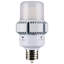 45 Watt White LED Bulb