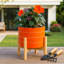 Pot de fleurs d'extérieur en céramique brillante sur support pour décoration intérieure - Pot de fleurs moderne et contemporain pour le salon ou le patio - Orange-1188667237-1188667235