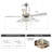 Bartell 52'' Ceiling Fan with Light Kit