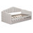 Twin Size Upholstered Daybed
