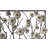 Traditional Plants & Flowers Wall Decor