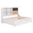 Daybed with Storage Shelves-536417179-481604685
