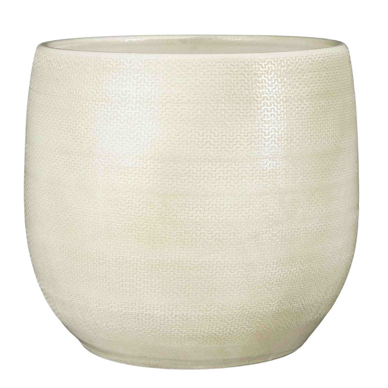 Cameil Ceramic Pot Planter