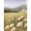 Wild America Print by Dina Gardner-349947971