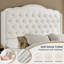  Grand lit tapissier à 4 tiroirs Maber, lit plateforme avec rangement et 2 tables de chevet, lit à oreilles en velours, aucun sommier requis, beige-97587622-97587621