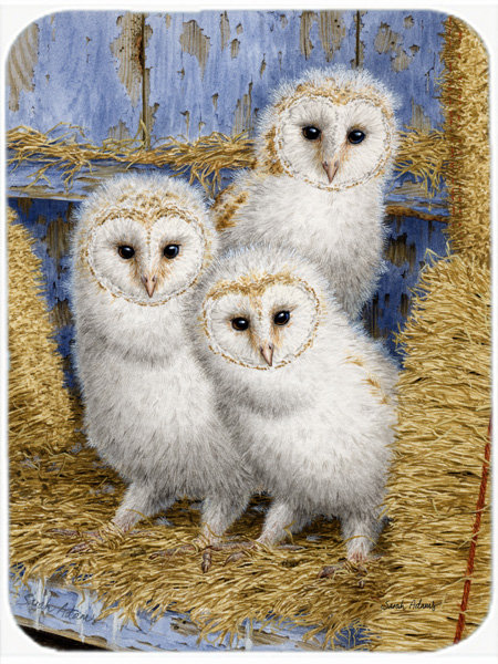 Planche à découper en verre caroline trésors Barn Owl