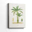 Arbre antique avec fruit III - galerie Cavas-108843338