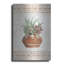 «Southwest Terracotta Succulents II» par Cindy Jacobs-489646269