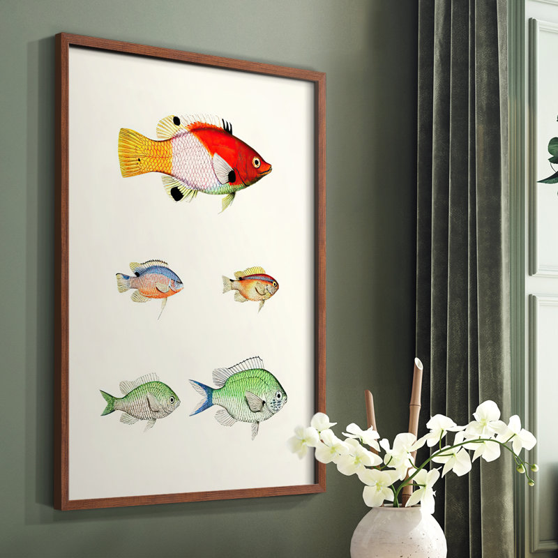 «Colorful Tropical Fish I», reproduction encadrée - bois massif, Brun, H 10 po x l 8 po