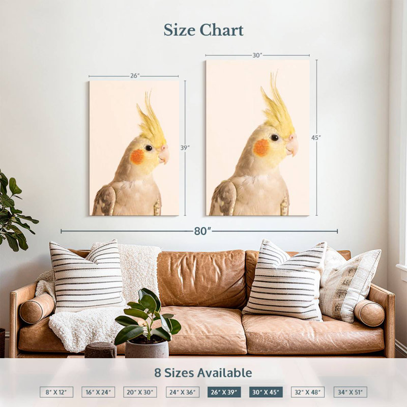 Brampt Smiling Cockatiel, 39" H x 26" W