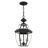 Alexavier 2 - Light LED Outdoor Hanging Lantern Outdoor Lighting-1141437572