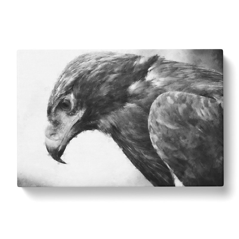 Golden Eagle Vol.2 - Wrapped Canvas Print, 35cm H x 50cm W x 3cm D