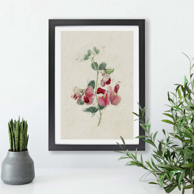 Sweet Pea Flowers - Framed Print