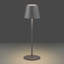 Faison 38cm Outdoor/indoor Rechargeable Cable free LED Buffet Lamp-84093841