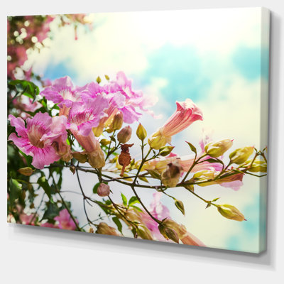 " Pink Flowers In Hawaiian Garden "
