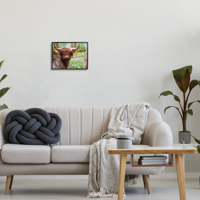 Highland Cattle Nature Scene Black Framed Canvas Print