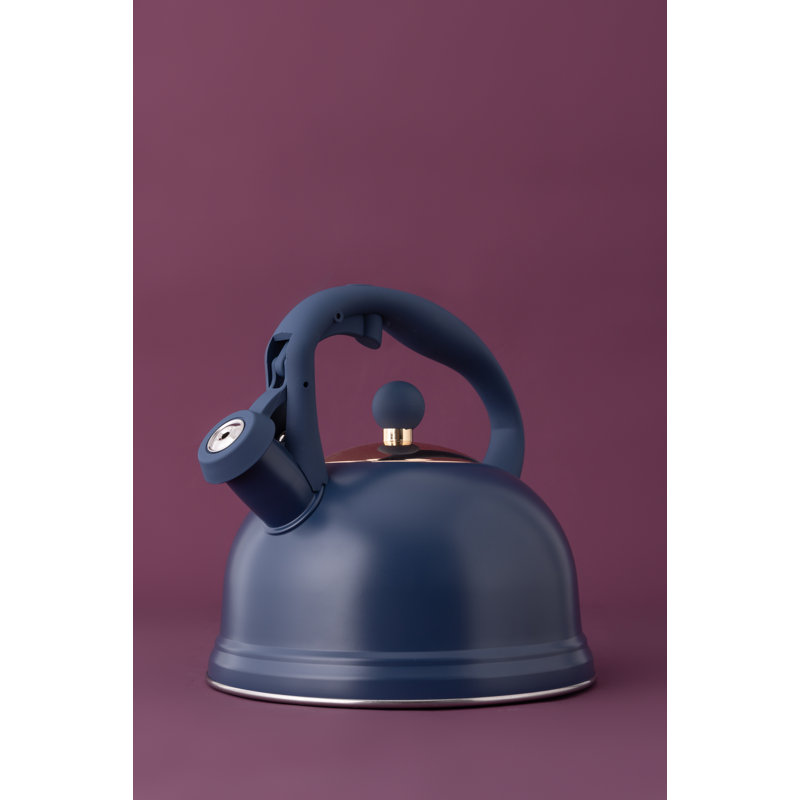 Living 2L Stainless Steel Whistling Stovetop Kettle, Navy Blue