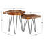 Ensemble de tables d'appoint 2 pièces Binoche