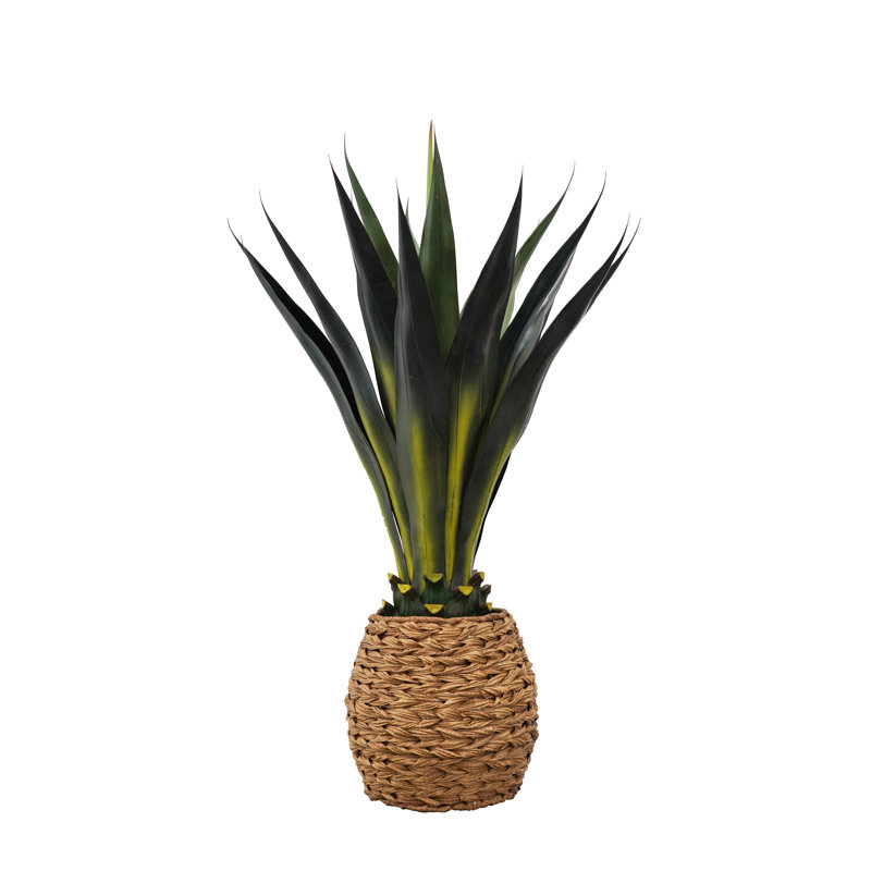 Agave de 42 po de hauteur tissé