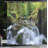 Shower Curtain with Hooks Included-44327424