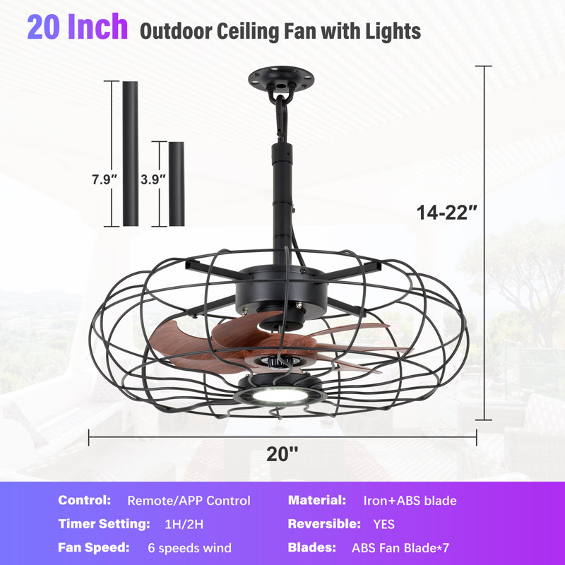 20-Inch Outdoor Plug-In Hanging Caged Ceiling Fan with LED Light, Remote and App Control, Black, 20", Black