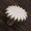 CK Series Knob-12829603