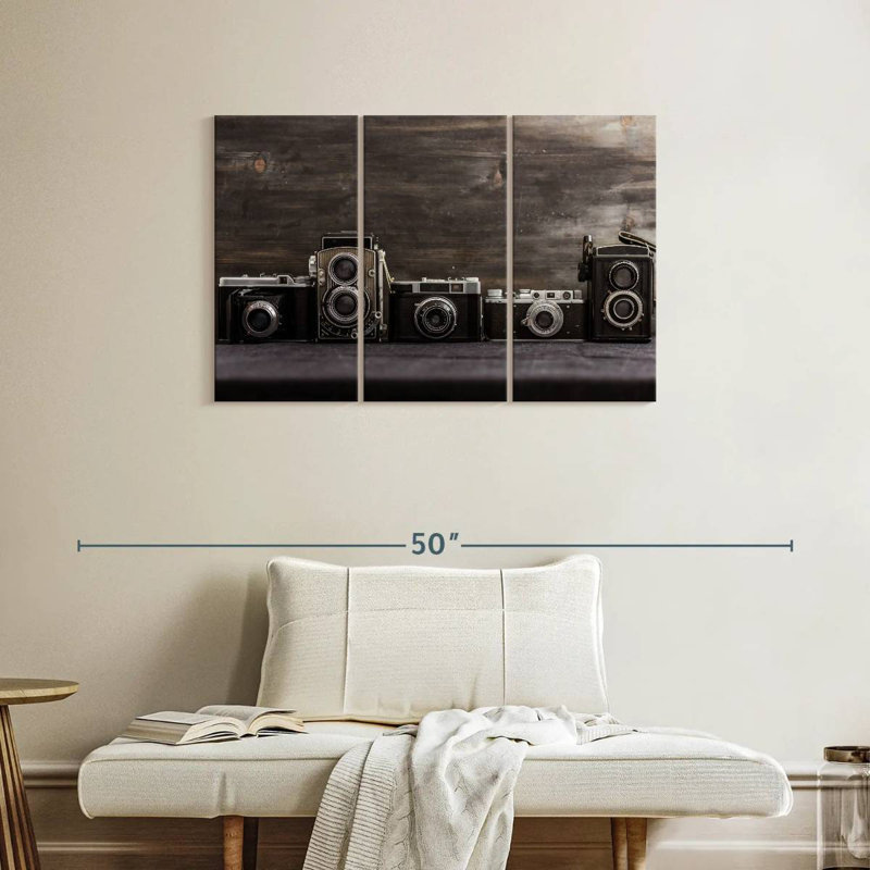 Senne Vintage Camera Collection, 24" H x 38" W