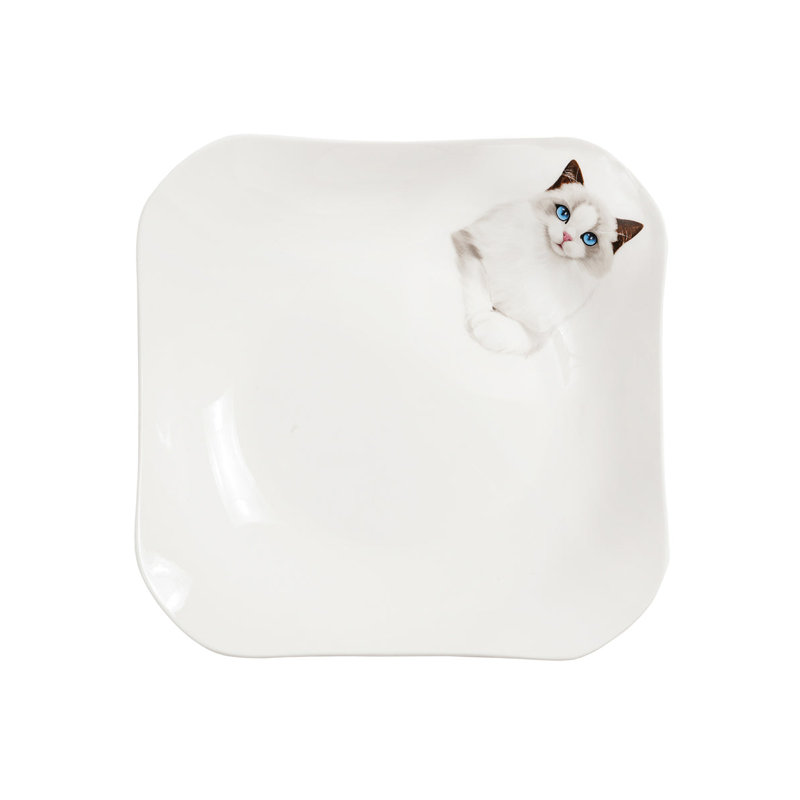 Assiette carrée en porcelaine - Ragdoll